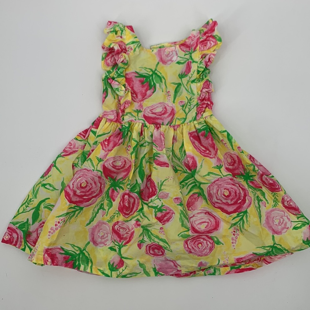 Haley and the Hound dress size 3T floral